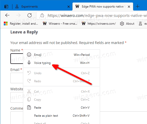 Edge Voice Typing 2