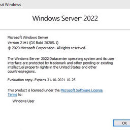 Server 2022 Build 20285 Winver Icon