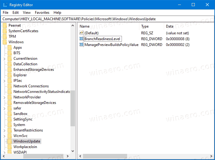 Disable Windows Insider Program In Registry