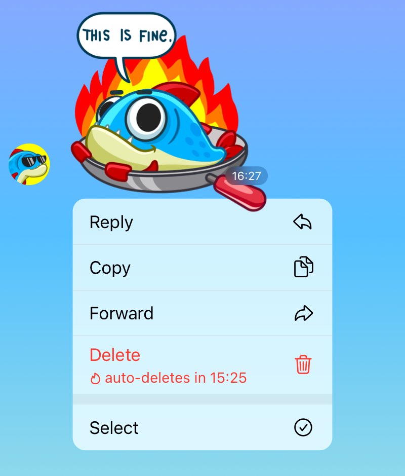Telegram Message Auto Delete Countdown