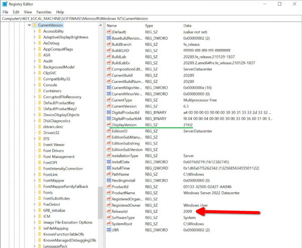 Windows Server 2022 Version 21h2 Registry