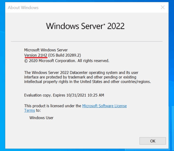 Windows Server 2022 Build 20289 comes with the version 21H2 branding