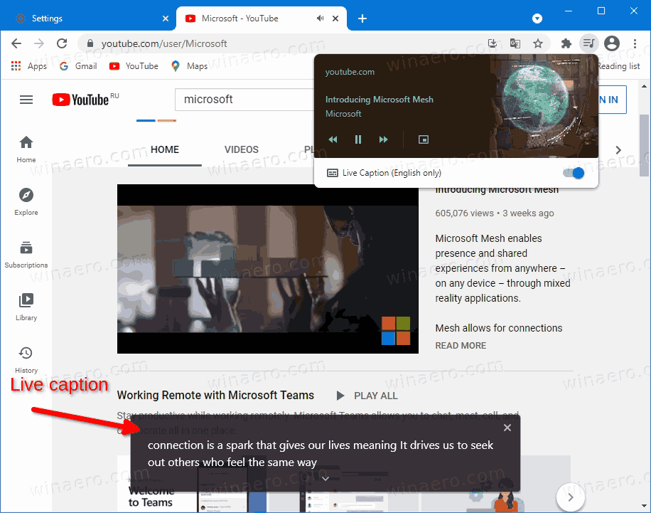 Enable or Disable Live Caption in Google Chrome