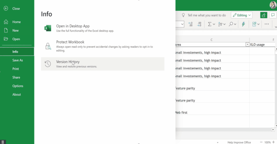 Excel Online Version History 1