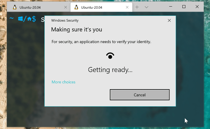 Windows Hello Sudo