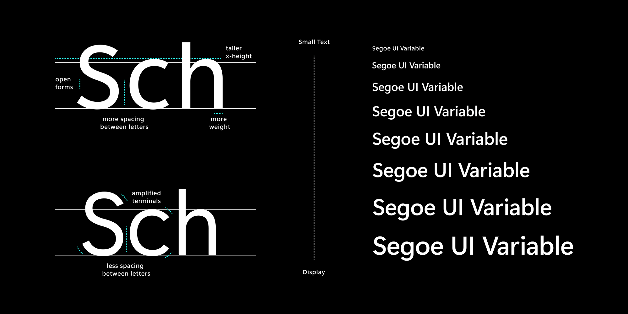 B21376 Segoe Variable