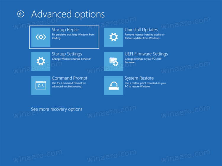 Advanced Startup Windows 11 WinRE 3