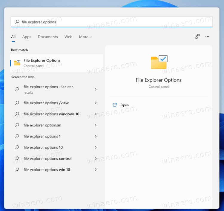 Open File Explorer Opions From Search