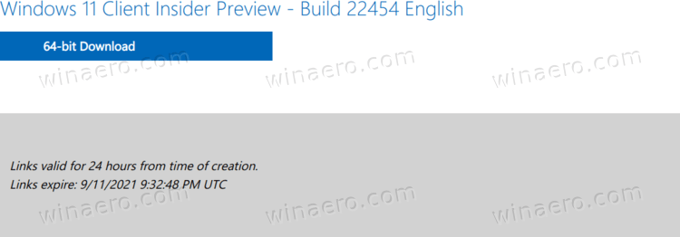 Download Button For Windows 11 Build 22454 ISO File