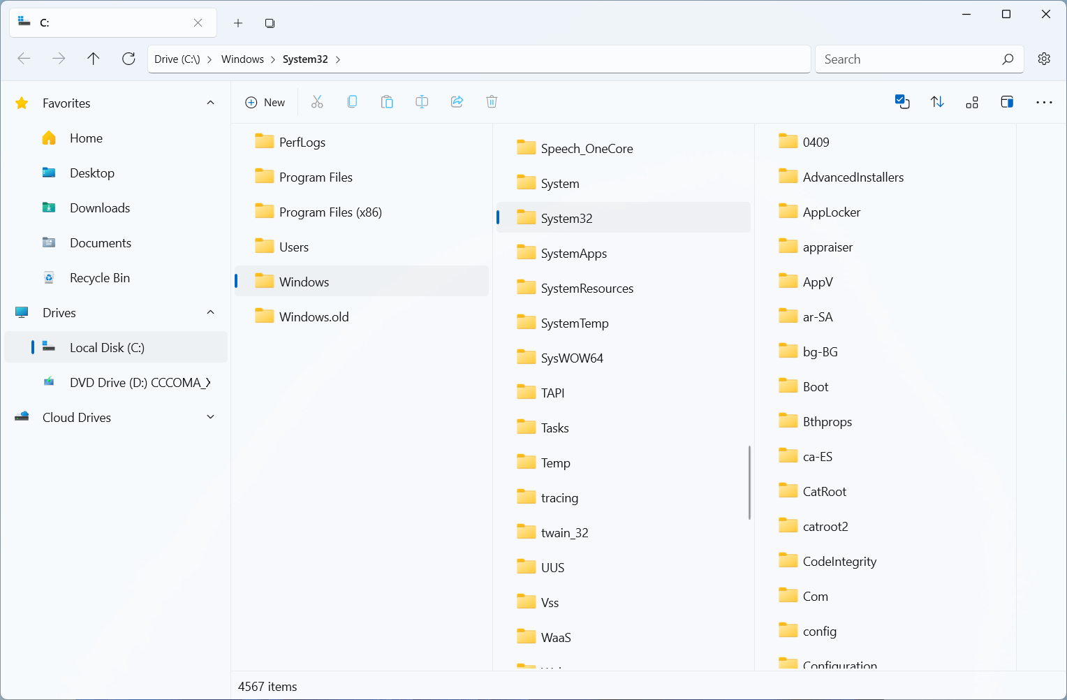 Windows 11 Files App