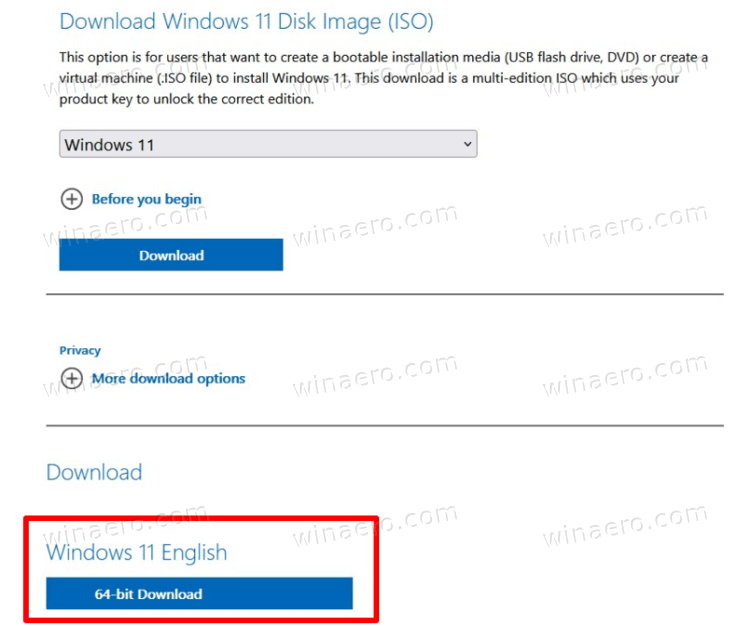 Windows 11 ISO File Direct Download 