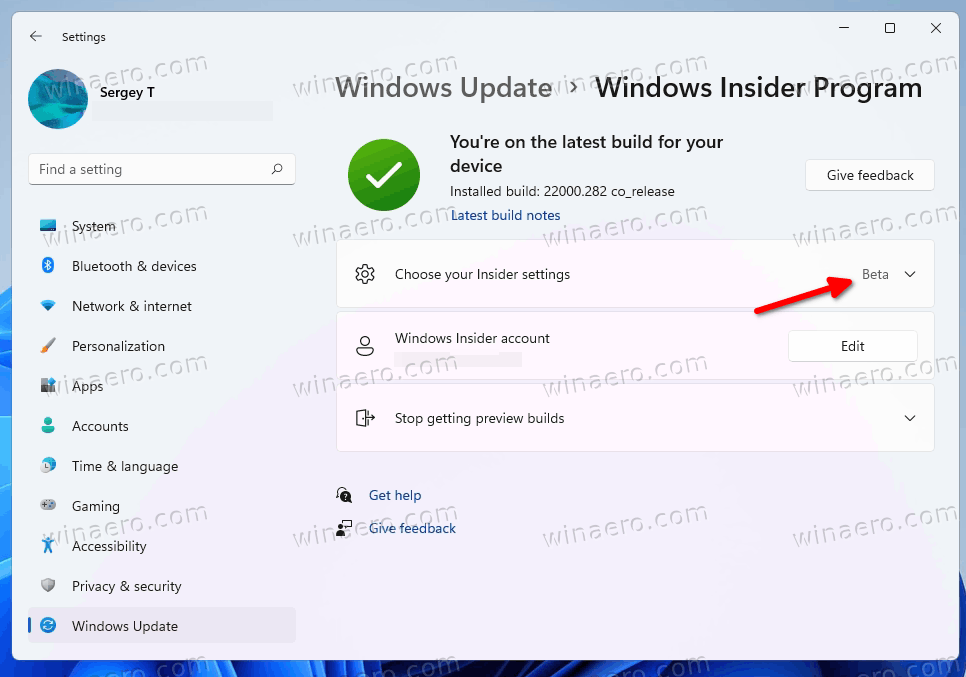 Windows 11 Insider Settings
