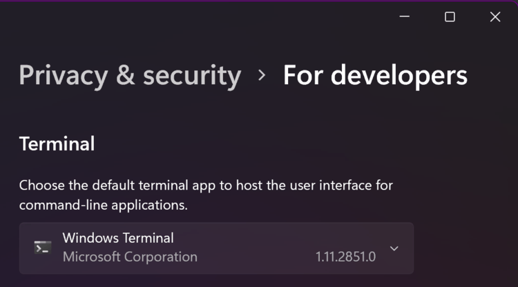 Windows Terminal Default Terminal In Settings