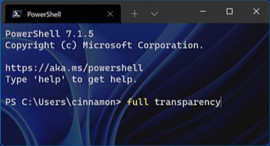 Windows Terminal Full Transparency