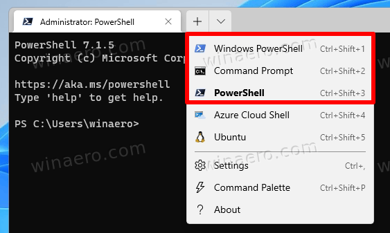 Windows Terminal Profile
