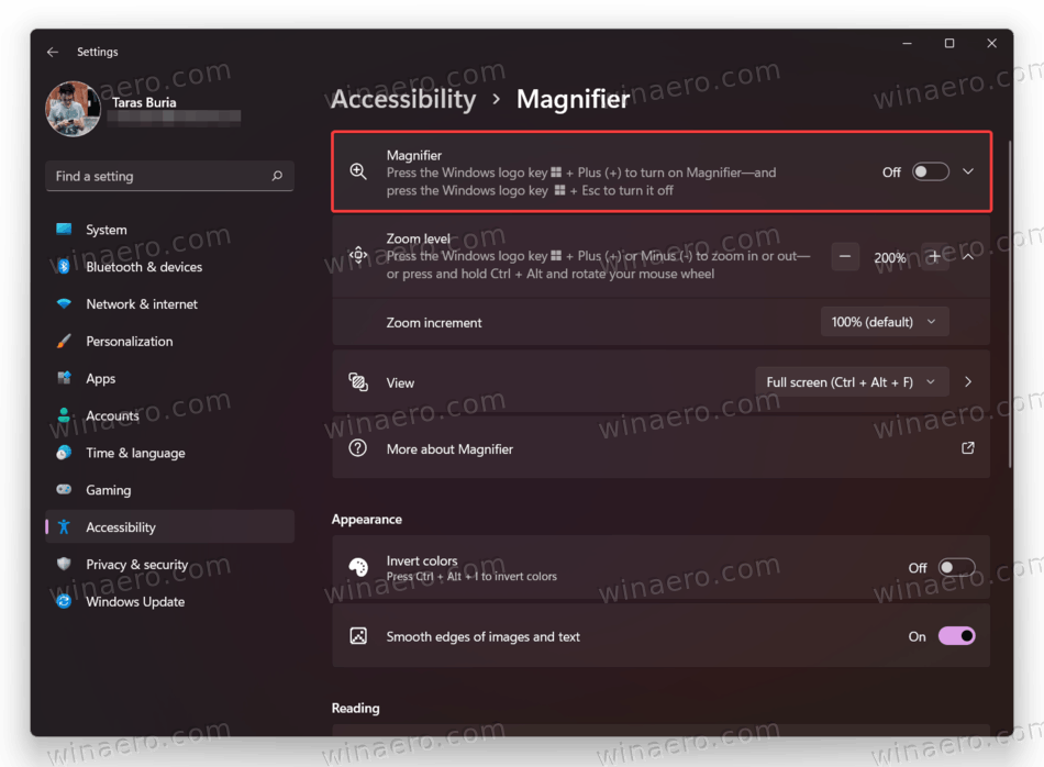 Enable Screen Magnifier in Windows 11