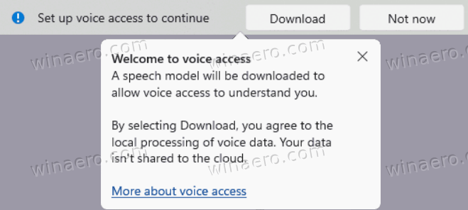 Download Speech Model