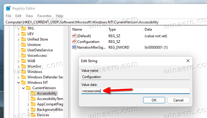 08 Enable Voice Access Auto Start In The Registry