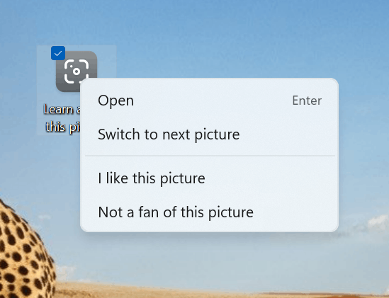 switch to the next Spotlight desktop background in Windows 11