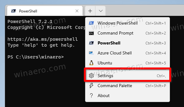Windows Terminal Settings Item