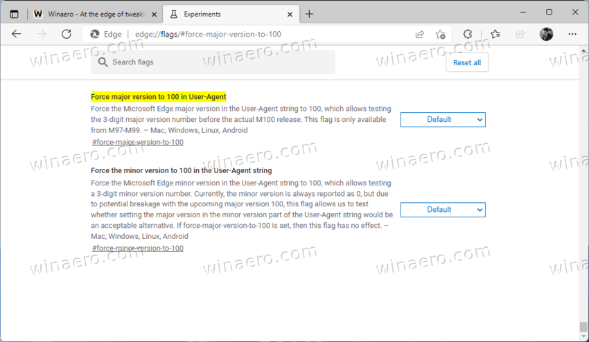 Enable Version 100 For The User Agent In Microsoft Edge