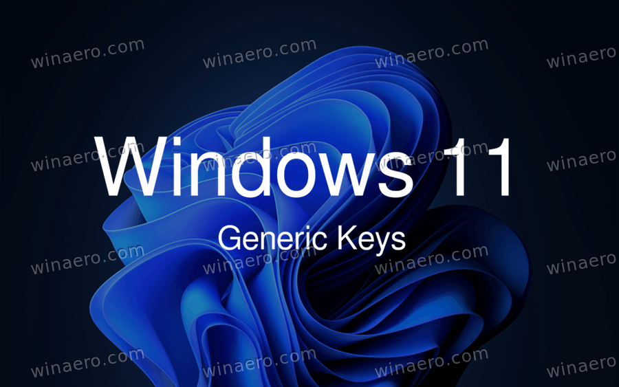 Windows 11 Generic Keys