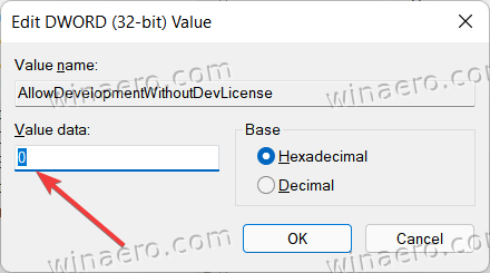 Windows 11 Enable Developer Mode in Registry