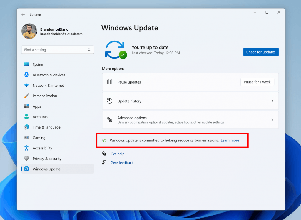 Windows Update Carbon Message