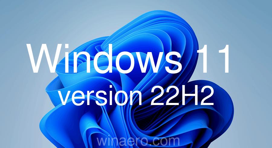 Windows 11 Version 22h2 Banner