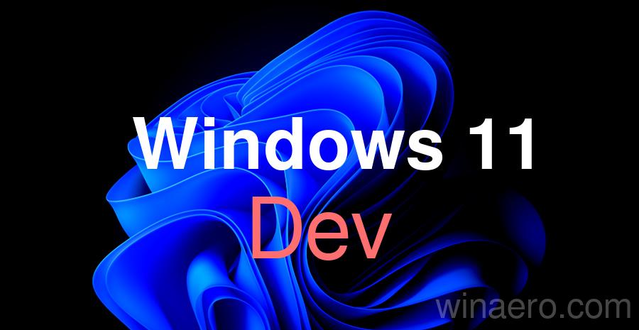 Windows 11 Dev banner