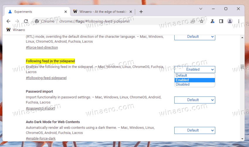 Enable RSS reader in Google Chrome