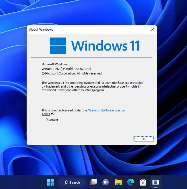 New Search In Windows 11 21h2 V1