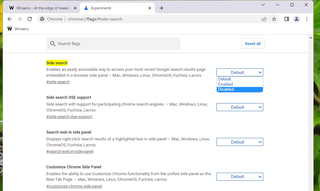 Chrome Disable Sidebar Search