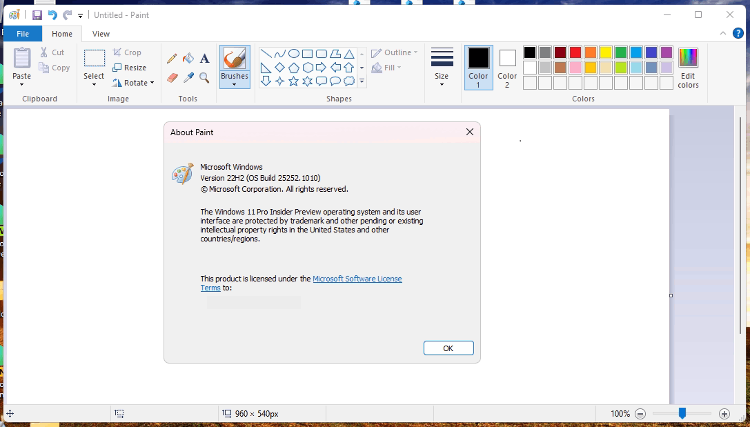 Windows 10 classic paint for Windows 11