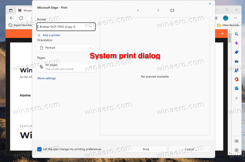 the system Print dialog