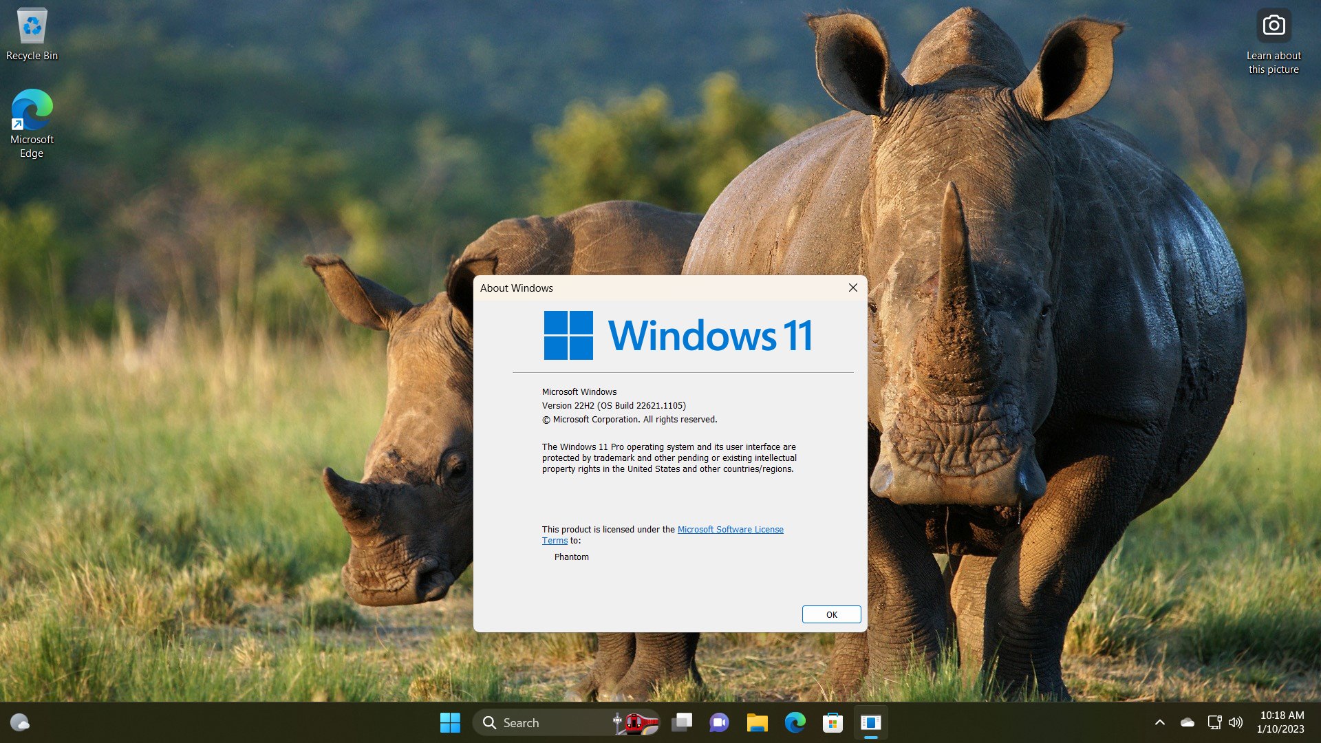 Windows 11 Новый поиск на панели задач