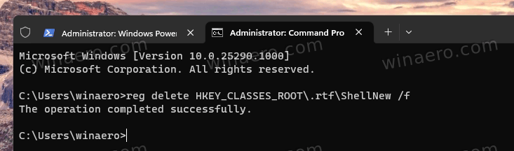 Command removes RTF