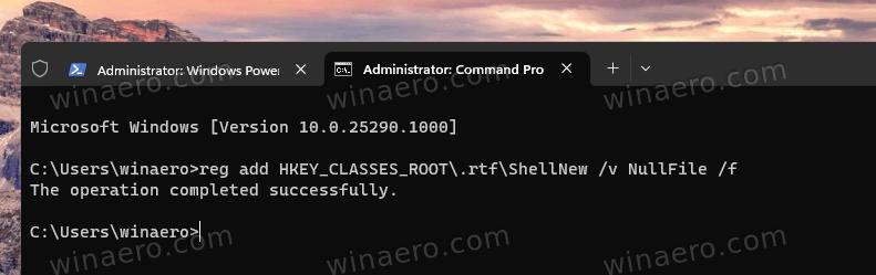 Commands adds RTF entry