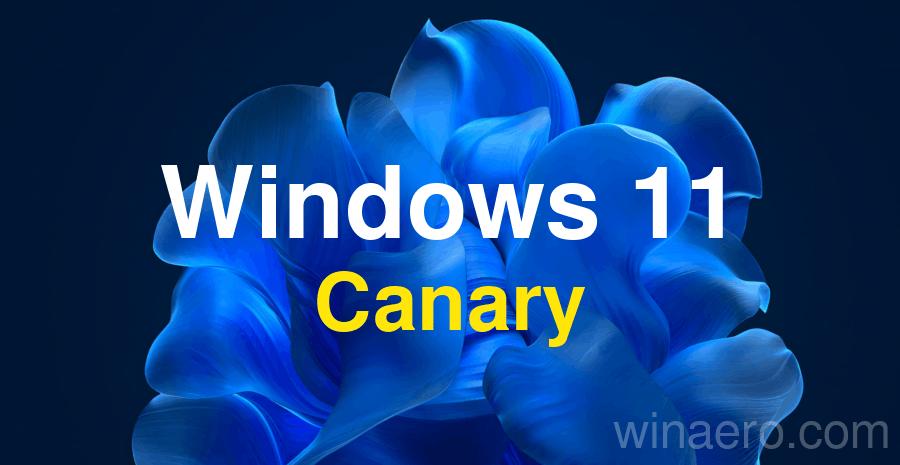 Win11 Canary