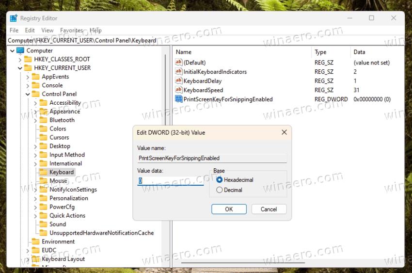 Print Screen Key disable Snipping Tool in Registry