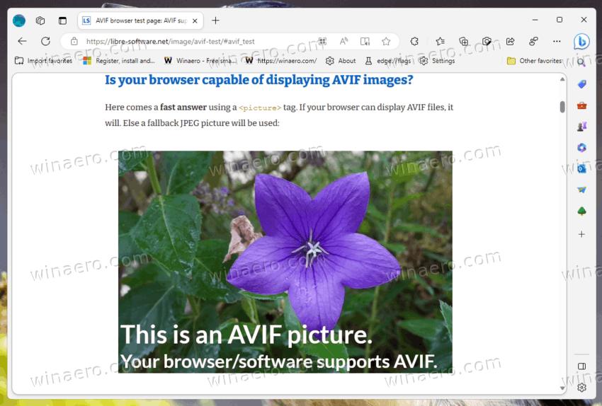 Edge With AVIF Image support