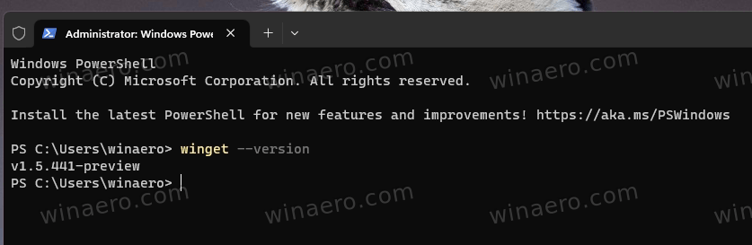 install-a-winget-app-with-custom-arguments-and-command-line-switches