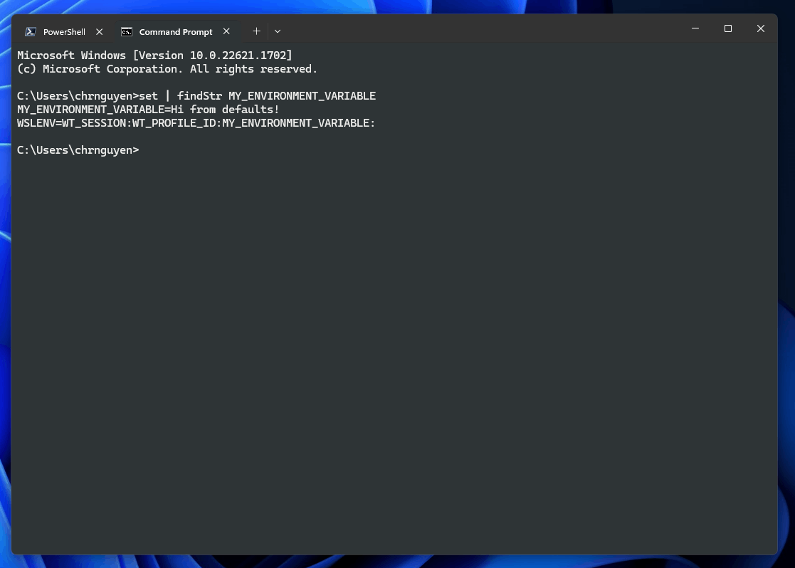 Environmentvariablescommandprompt