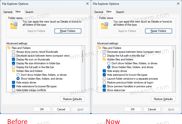 Folder Options Dialog In Windows 11
