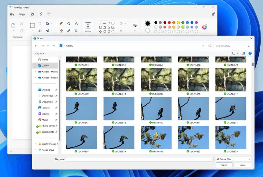 Gallery in the Open File Dialog