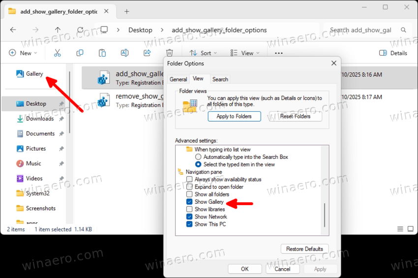 add the Show Gallery checkbox to the File Explorer options