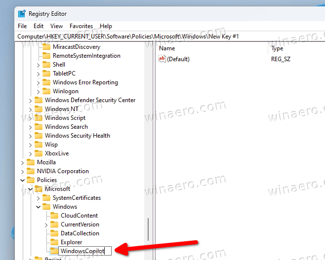 Name key Windows Copilot