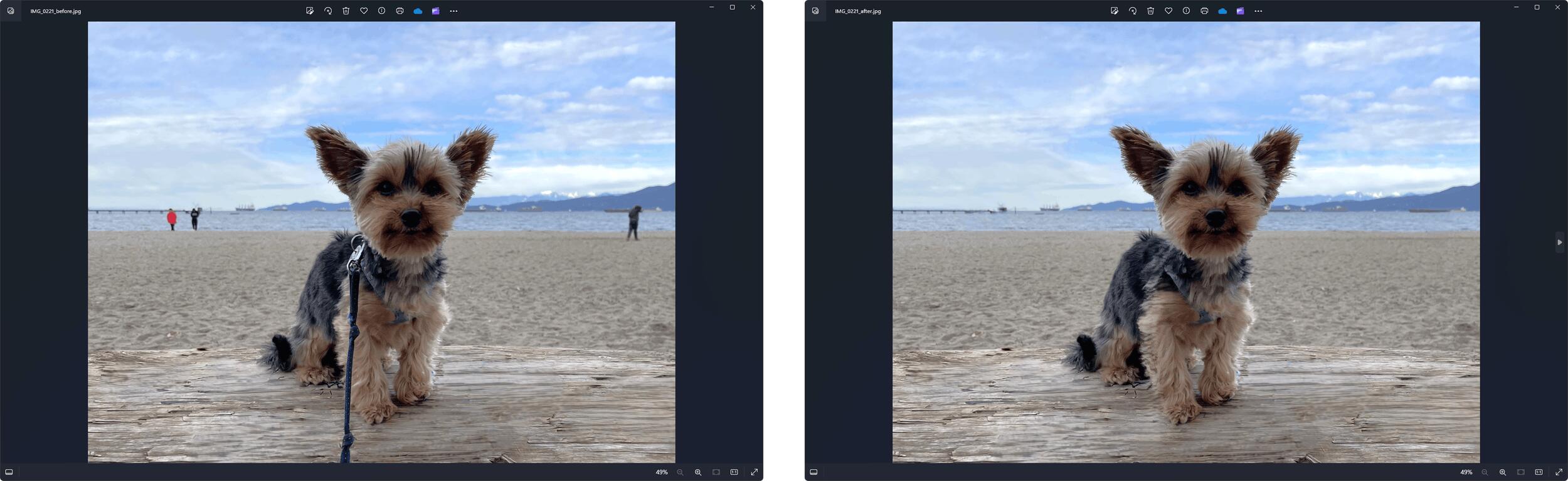 Windows Photos App Generative Erase
