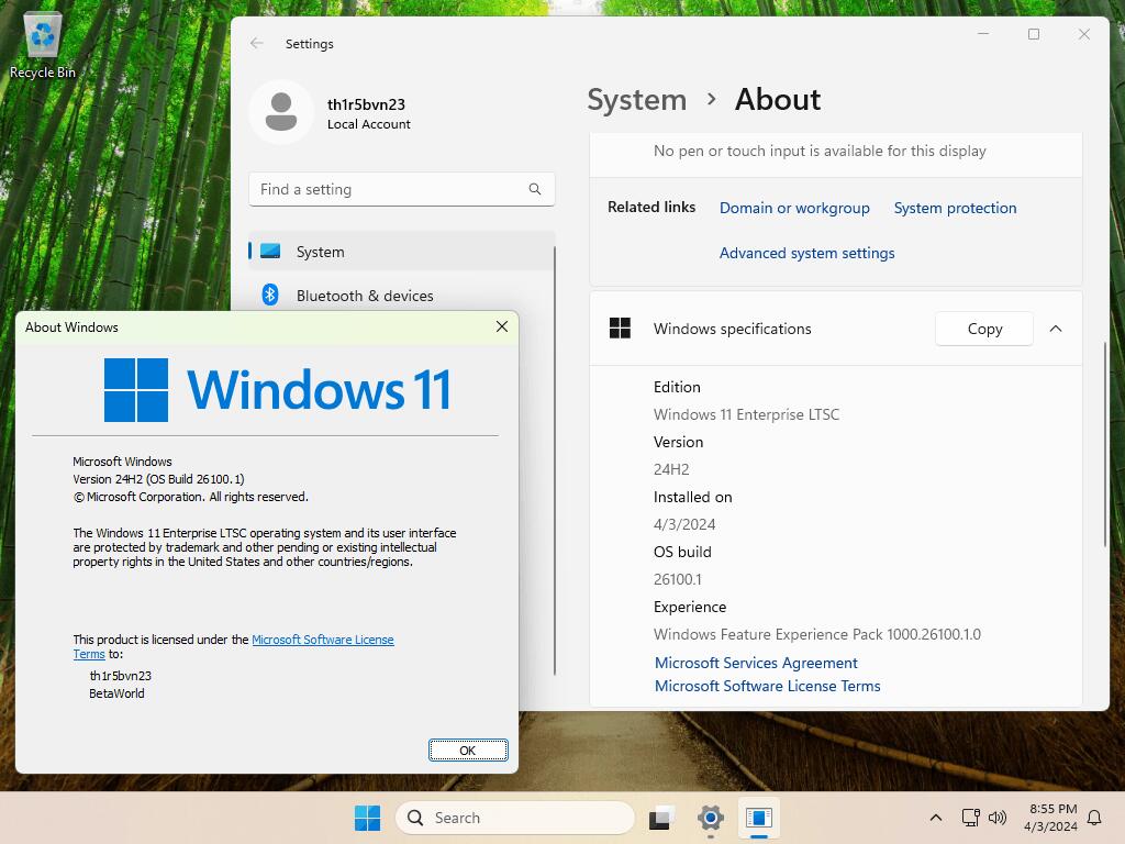 Windows 11 24H2 LTSC