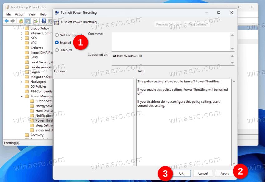 Disable Power Throttling With Group Policy